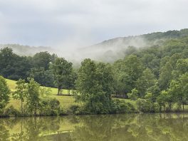 20240704_221942923_iOS