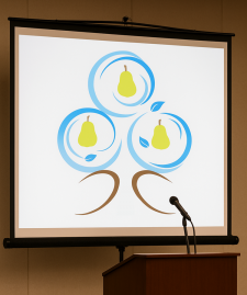 A Year of Presenting